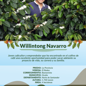 Café Don Antón - Jóvenes Caficultores - Willintong Navarro